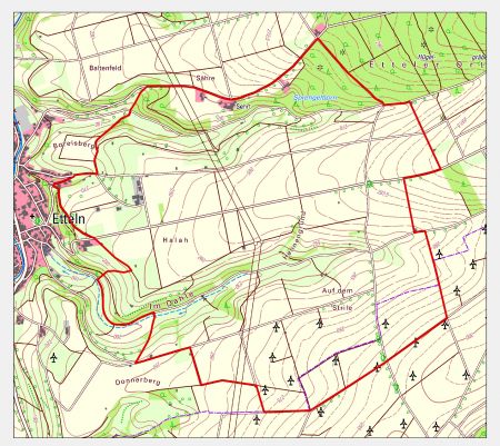 Karte des Sperrbezirks in Borchen-Etteln. Foto: © Kreis Paderborn